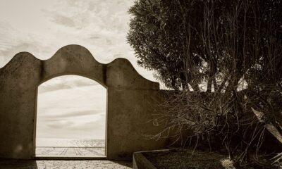 jennifer-lawrence-genocidio